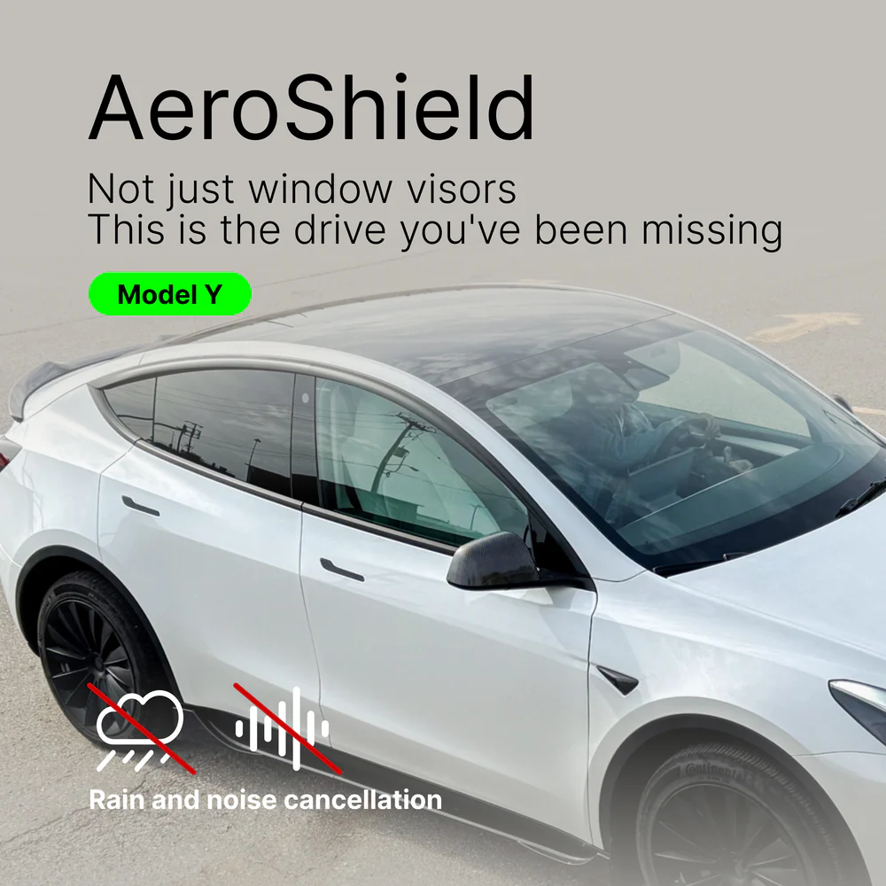 AeroShield Visors